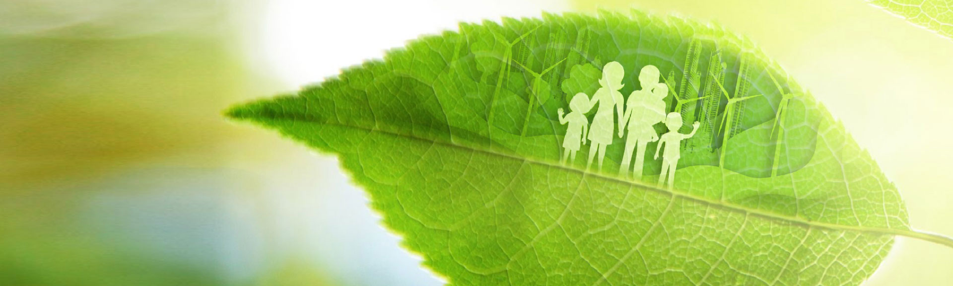 银娱优越会·GEG(中国)股份有限公司